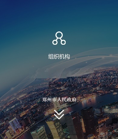 组织机构